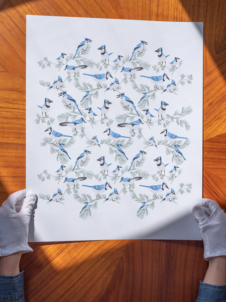 Kate Golding Blue Jay Art Print from her Great Lakes Collection. Canadian designed art for your home. Kate Golding also creates wallpaper and textiles.