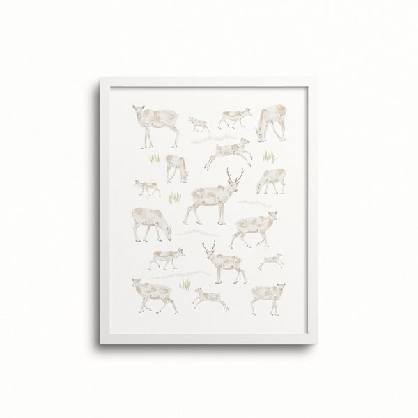 Kate Golding Caribou Art Print from her Newfoundland Collection.  Canadian designed art for your home.  Kate Golding also creates wallpaper and textiles.