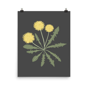Kate Golding Dandelion One (Charcoal) Art Print from her Magical Day Collection.  Canadian designed art for your home.  Kate Golding also creates wallpaper and textiles.