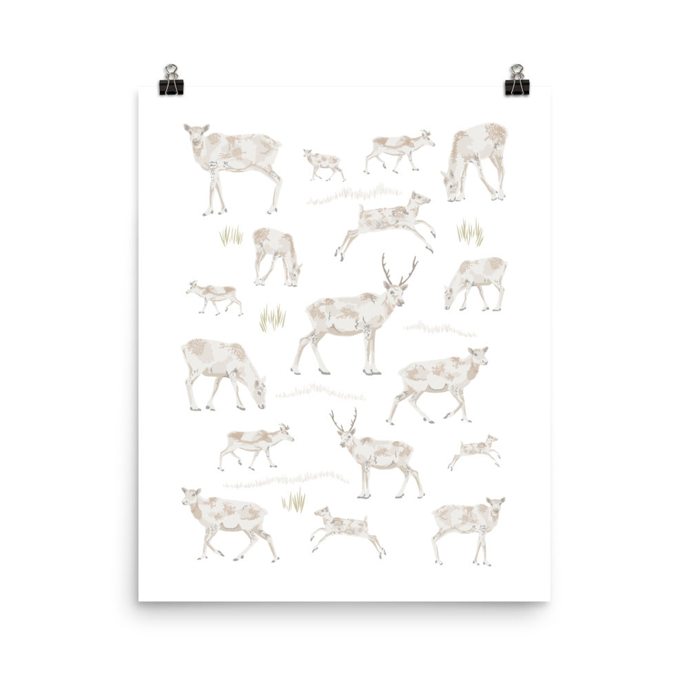 Kate Golding Caribou Art Print from her Newfoundland Collection. Canadian designed art for your home. Kate Golding also creates wallpaper and textiles.
