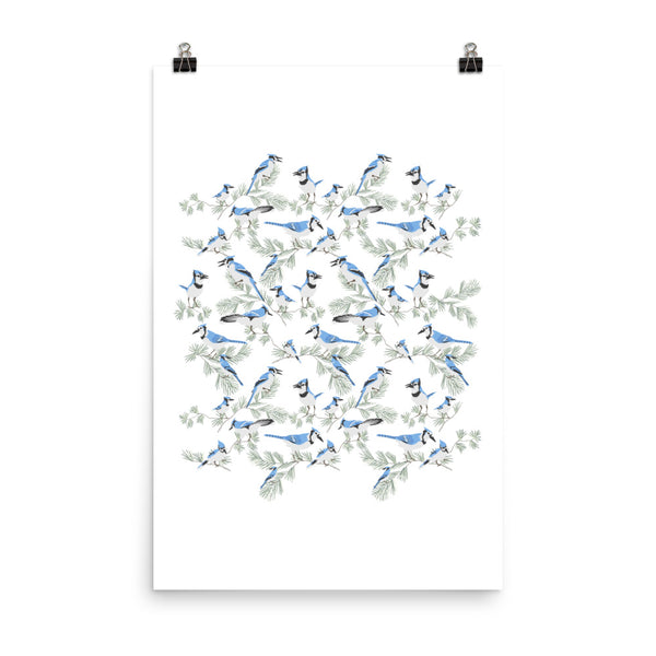 Kate Golding Blue Jay Art Print from her Great Lakes Collection.  Canadian designed art for your home.  Kate Golding also creates wallpaper and textiles.