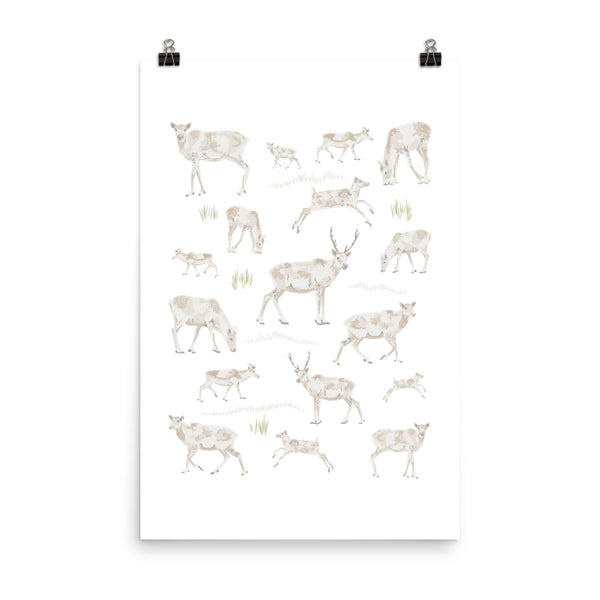 Kate Golding Caribou Art Print from her Newfoundland Collection. Canadian designed art for your home. Kate Golding also creates wallpaper and textiles.
